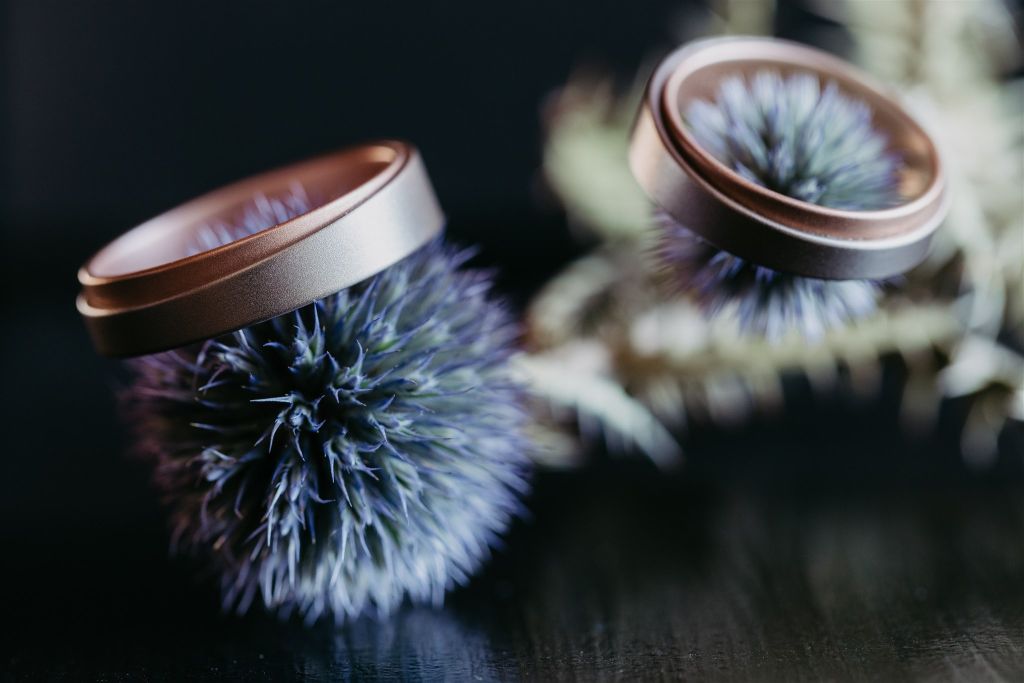 Elopement Wedding Eheringe