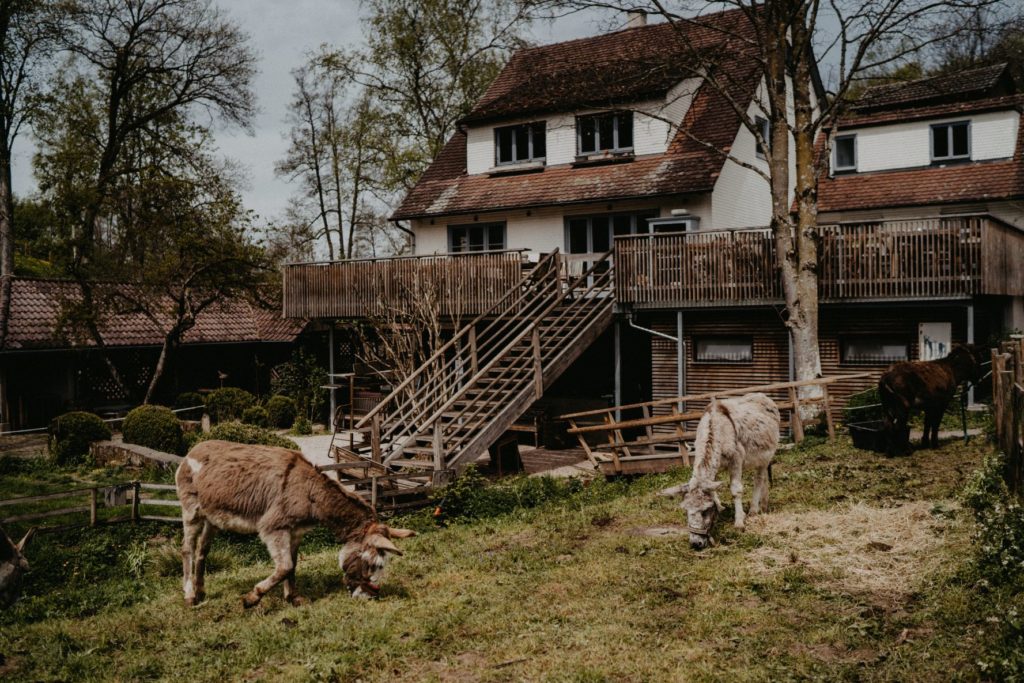 Nachhaltige Hochzeitslocation