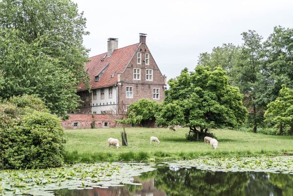 Nachhaltige DIY Hochzeit Hochzeitslocation