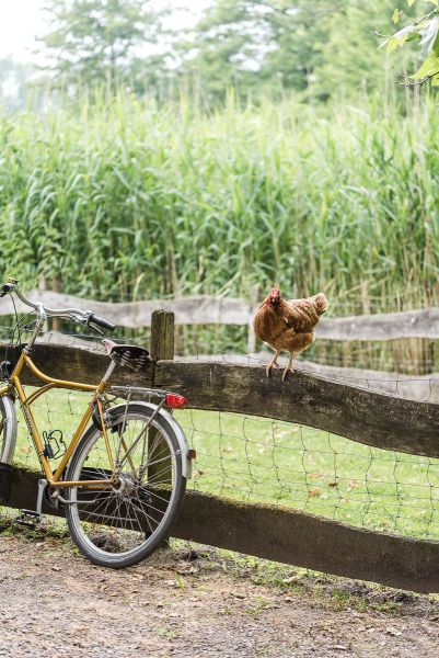 Nachhaltige DIY Hochzeit Huhn